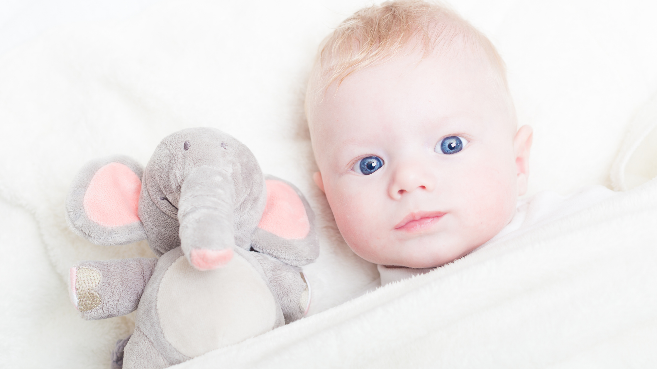 enfant avec peluche elephant