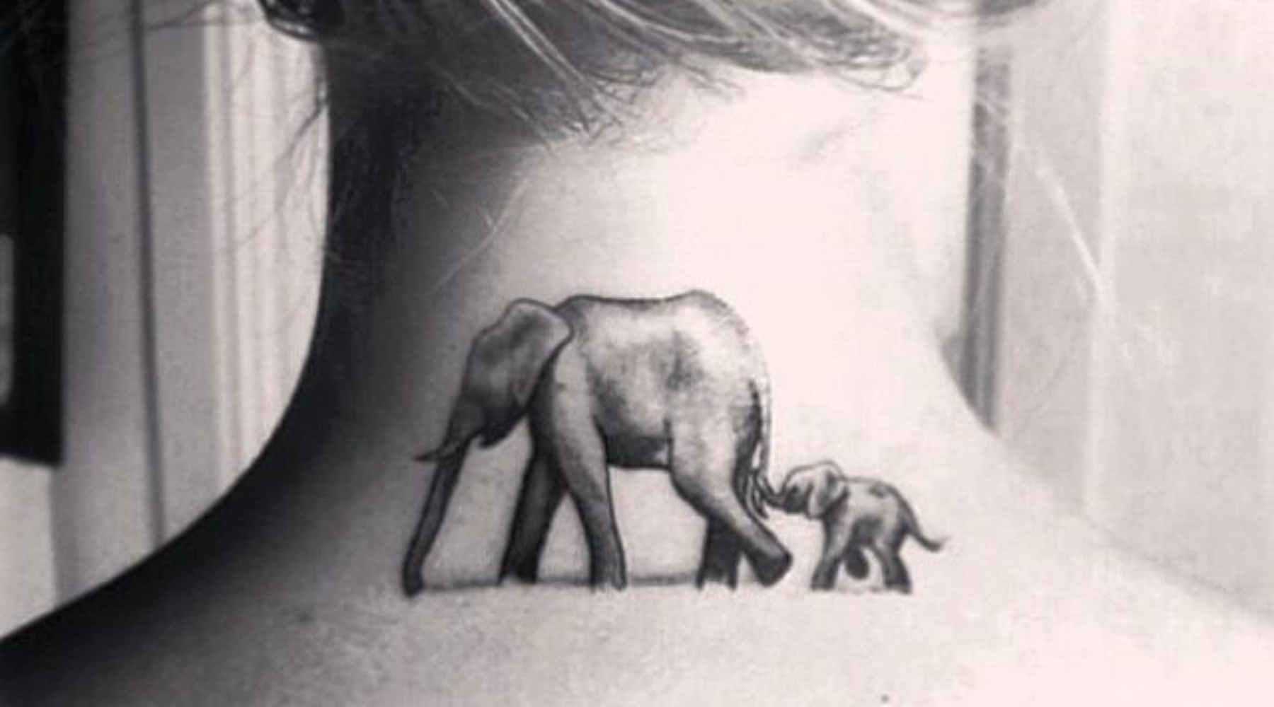 tatouage elephant dos