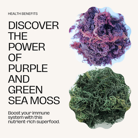 purple sea moss, green sea moss