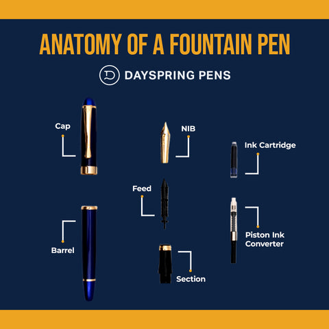 Anatomy of a Fountain Pen Infographic