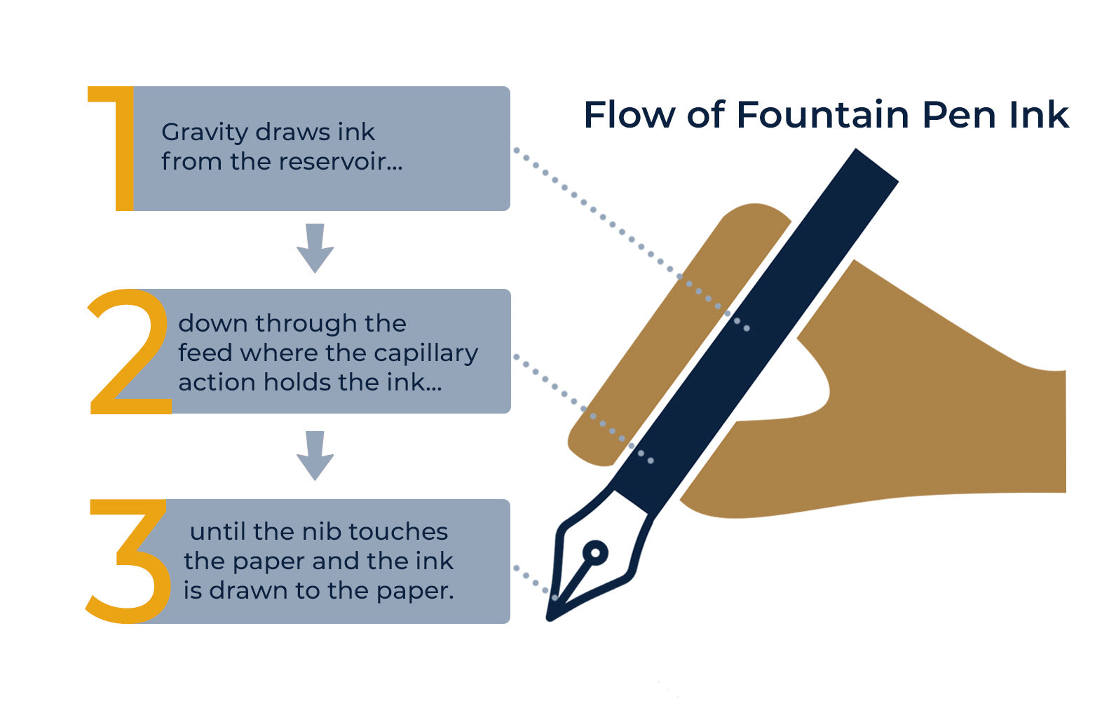 Infographic of how ink flows through a fountain pen