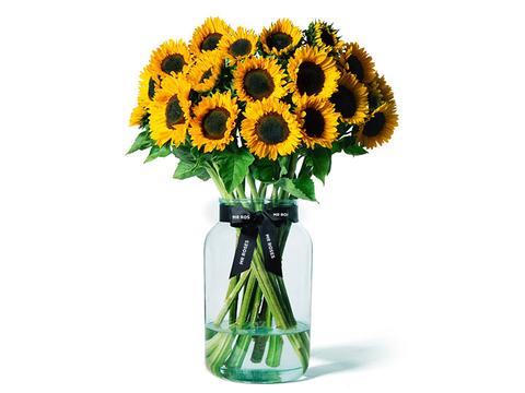absolutely bright and beautiful sunflowers in a see through glass vase