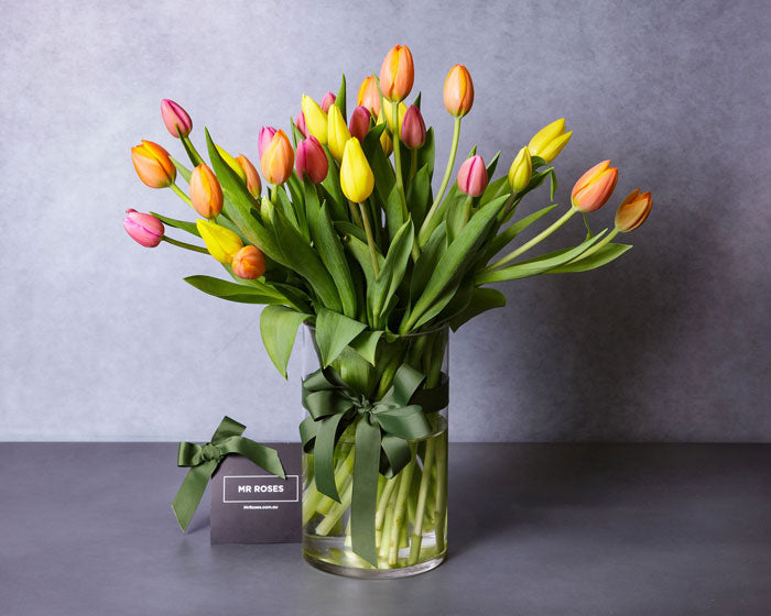 Mixed Colour Tulip Flowers