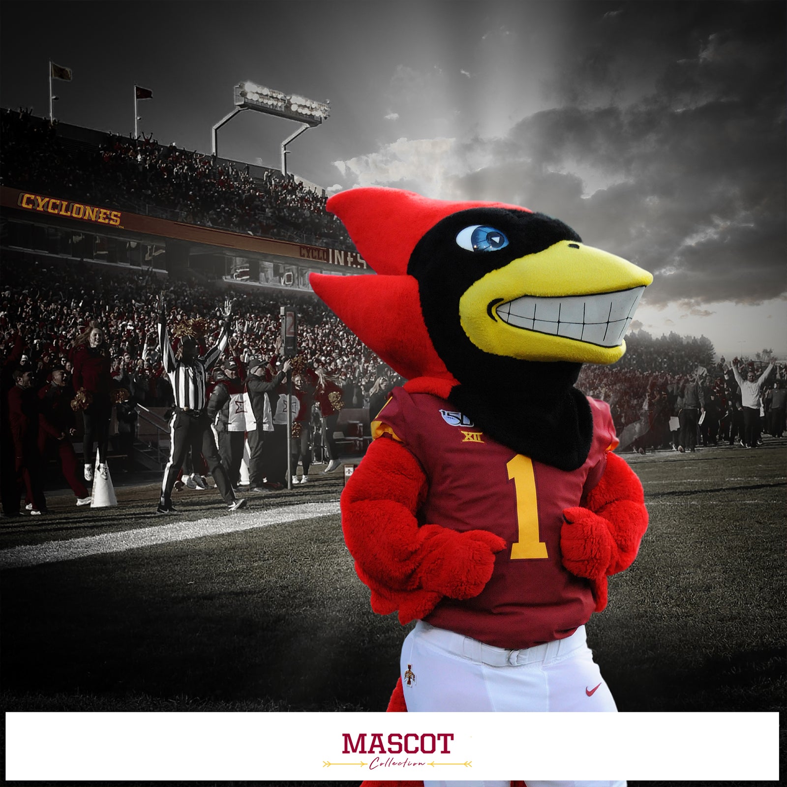 Collection MASCOT 1680x1680 IOWA STATE 1600x ?v=1616382093