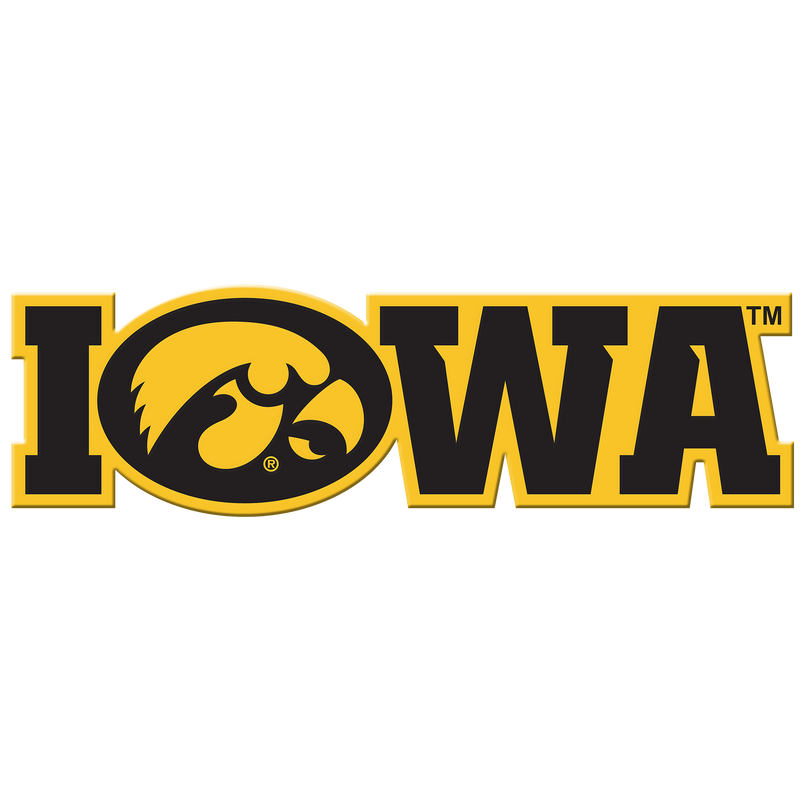 Iowa Hawkeyes - Iowa Tiger Hawk Single Layer Dimensional - College Wall Art