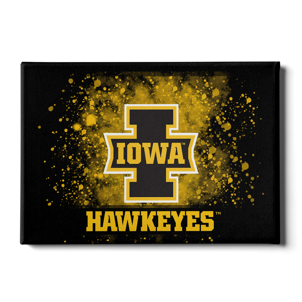 Iowa Hawkeyes Iowa Tiger Hawk Single Layer Dimensional College Wall Art