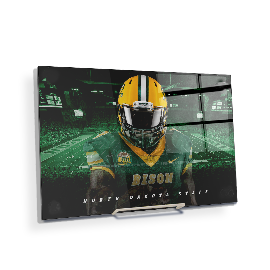 north dakota state mini helmet