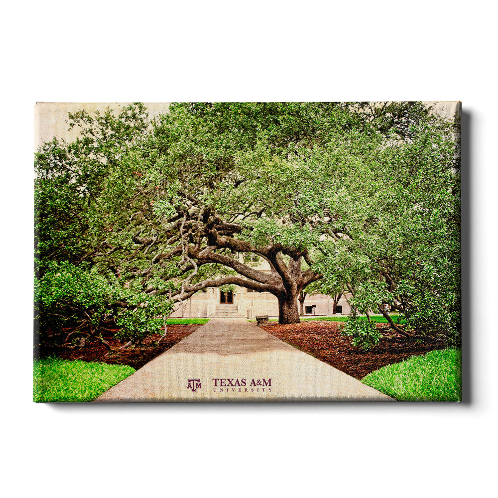 Texas A&M-Gig 'Em-College Wall Art