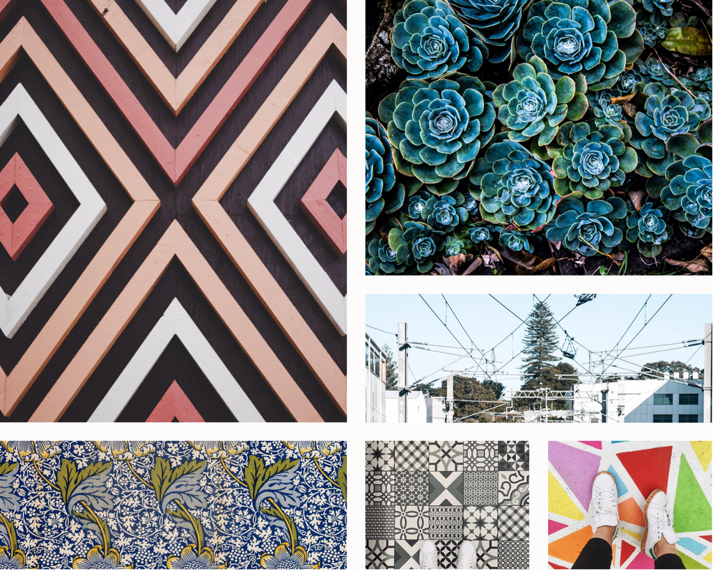 Patterns in nature and how they can inspire branding and design elements 