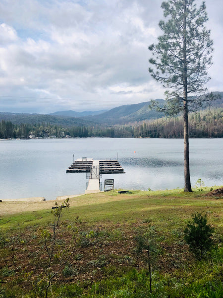 Bass Lake-Camp-California