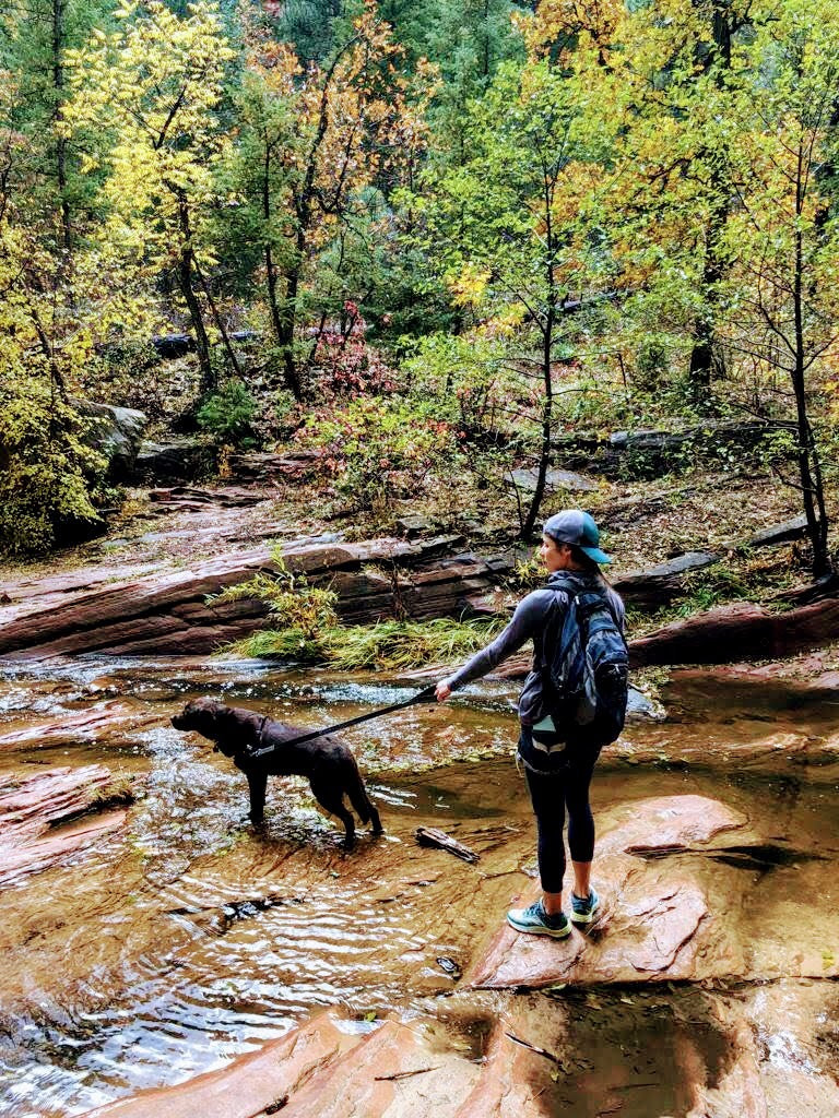 Walking the chocolate lab in Fall in Sedona Arizona