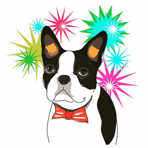 Boston Terrier 4th of July Fireworks