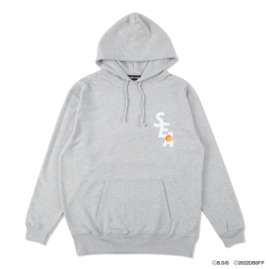 高級品 YS WDS Custom Hoodie WDS-YS-01 Gray aob.adv.br