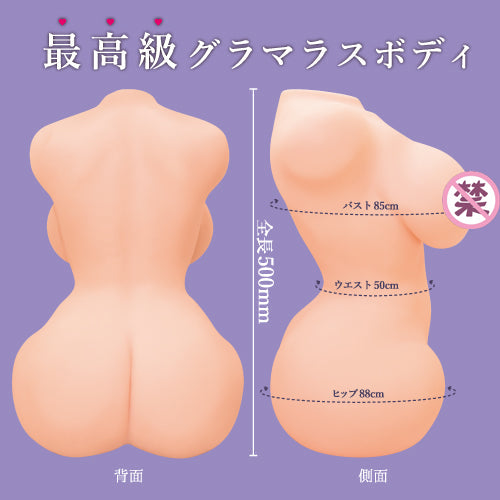 【北美直效郵件】對子哈特Fappable Body半身飛機杯