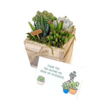 Load image into Gallery viewer, Succulent Arrangement in Wood Planter