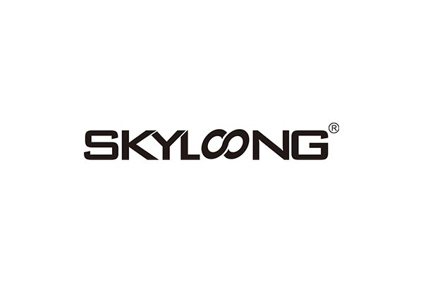 SKYLOONG.png__PID:26aa3c7f-8bb1-45d7-8144-63ca399988d3