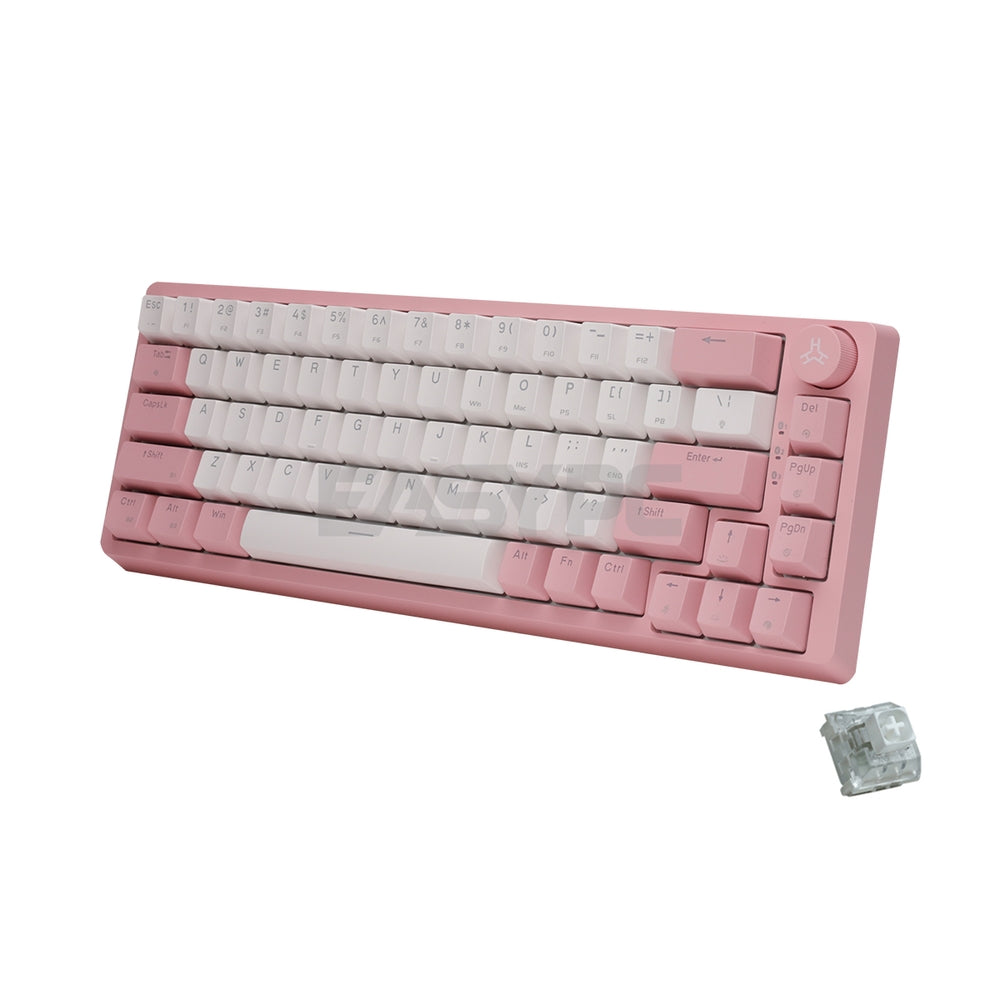 rakk 65 keyboard