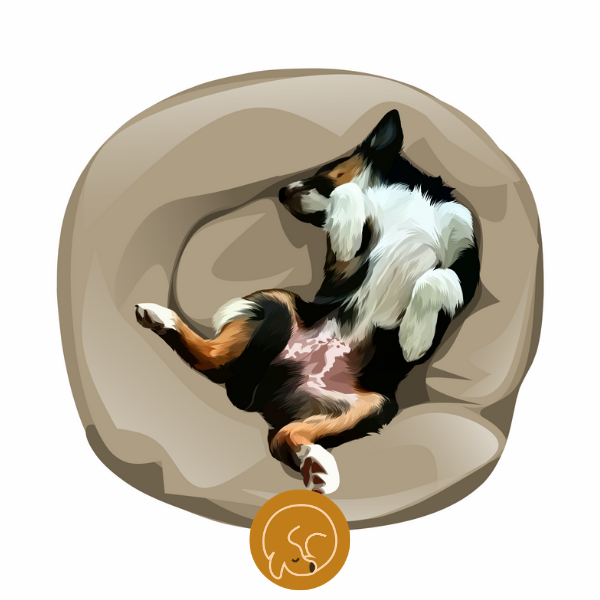 Buy Calming Pet Bed UK Calmingpet.co About Us