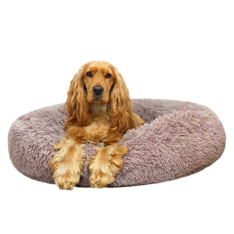 Official Calming Pet Bed (Special Tailored Dog Edition 2022)