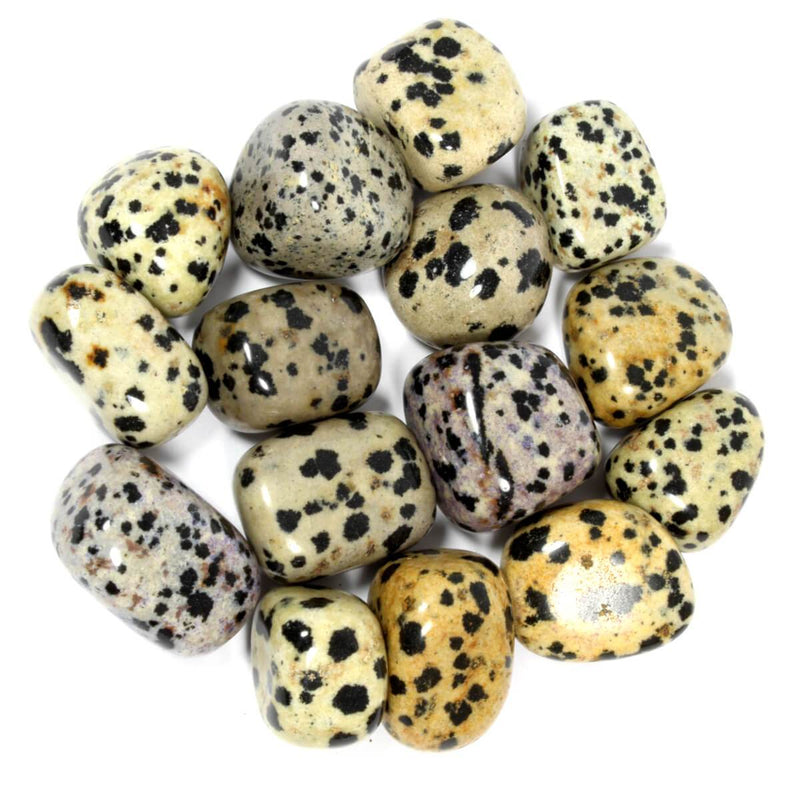 dalmatian jasper meaning