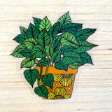 Clear Sticker - Potted Pothos Plant