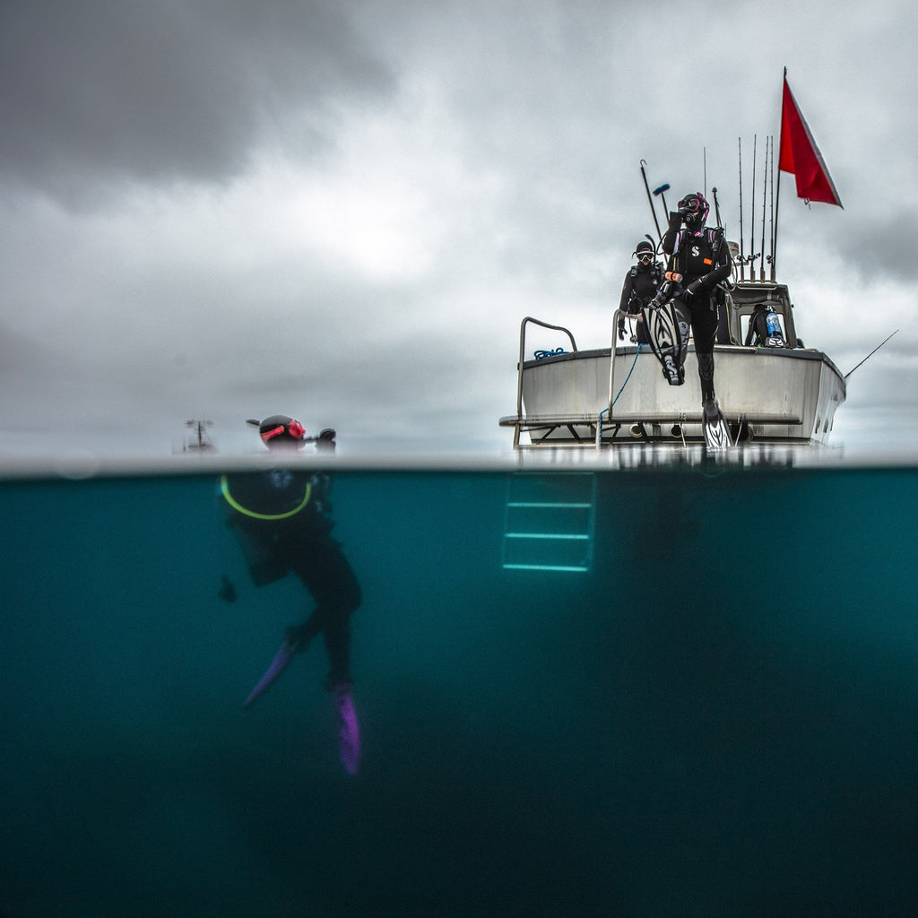 Divemaster Course – divewellington