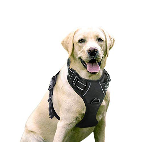 The Rabitgoo dog harness