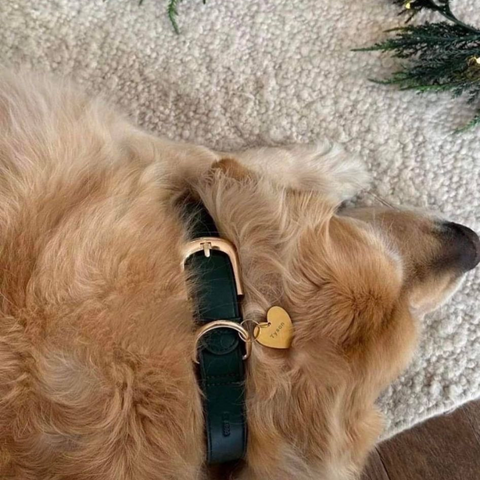 Christmas green dog collar