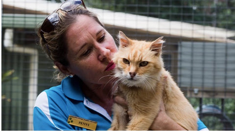 Penny from Sunshine Coast Animal Refuge with Adoptee Ginger Cat