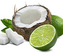 Coco Candle Co - coconut shell candles - Coconut Lime