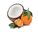 Coco Candle Co - coconut shell candles - Coconut Mandarin scent