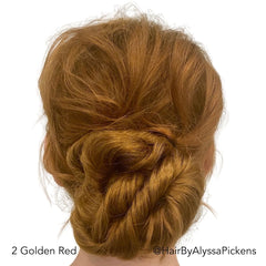 Golden Red Twisted Bun Hairstyle @furfamilynanny Easy Updo Extensions