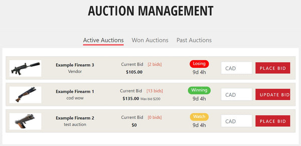 my auction screenshot
