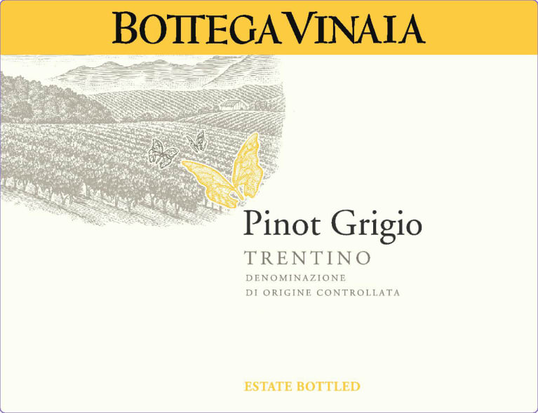 Bottega Vinaia Pinot Grigio