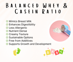 Balanced whey and casein ratios in milk, similar to breast milk
