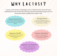 Why is lactose good in baby formula, similar to breast milk