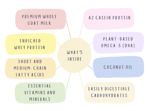 Everything You Need to Know About Kendamil Goat Infant Formula