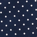 Navy Spot