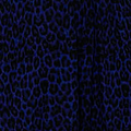 Blue Leopard