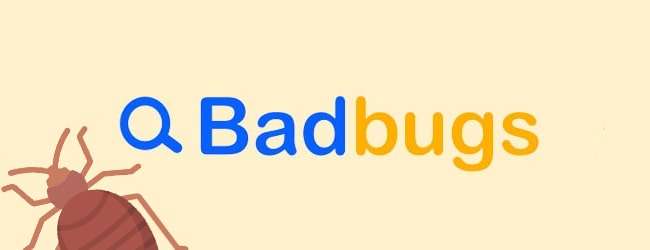 badbugs assurance punaise de lit