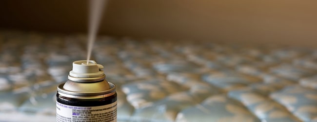 Pack anti punaise de lit Phobi insecfum et Digrain puces et punaises de lit