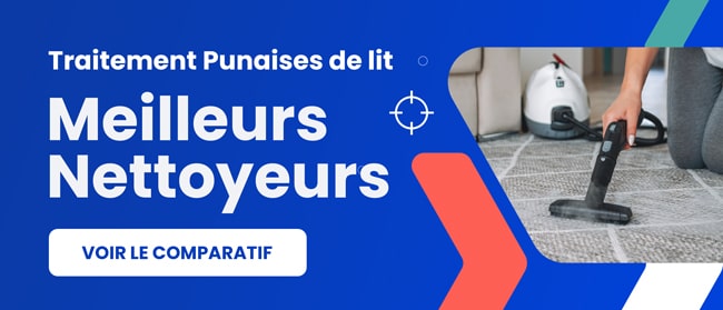 nettoyeur vapeur punaise de lit avis