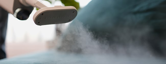 Nettoyeur Vapeur Punaise de Lit Cimex Eradicator vapeur sèche
