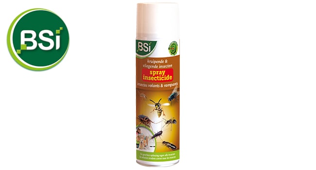 Dichlofort Insecticide Pour Punaise De Lit - Insecte - Cafards 100ml