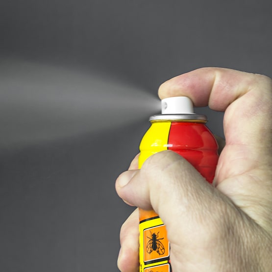 spray insecticide punaise de lit