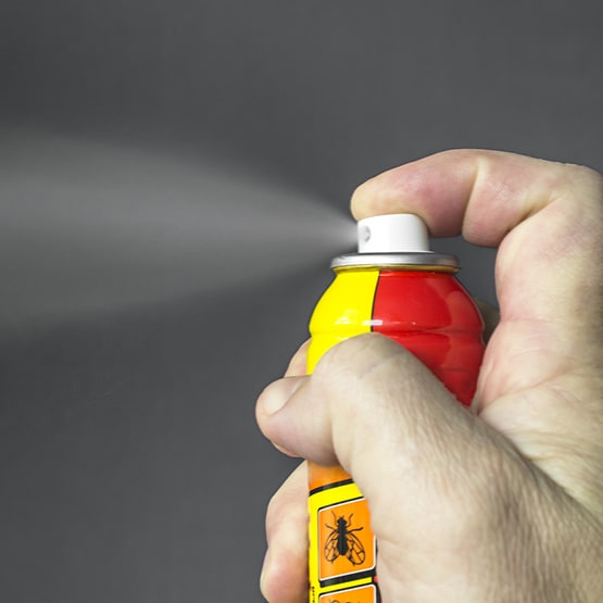 Spray anti-Punaises de lit (Guide d'achat) - AlloPunaise