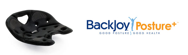 BackJoy Posture Support Back Pain Cushion