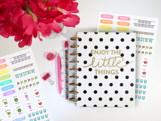 Oriday New Daily Happy Planner Sticker Pack- 500+ Cute Agenda Sticker Sets  for Journaling, Decorating, Budget Planner, School Supply, Calendar