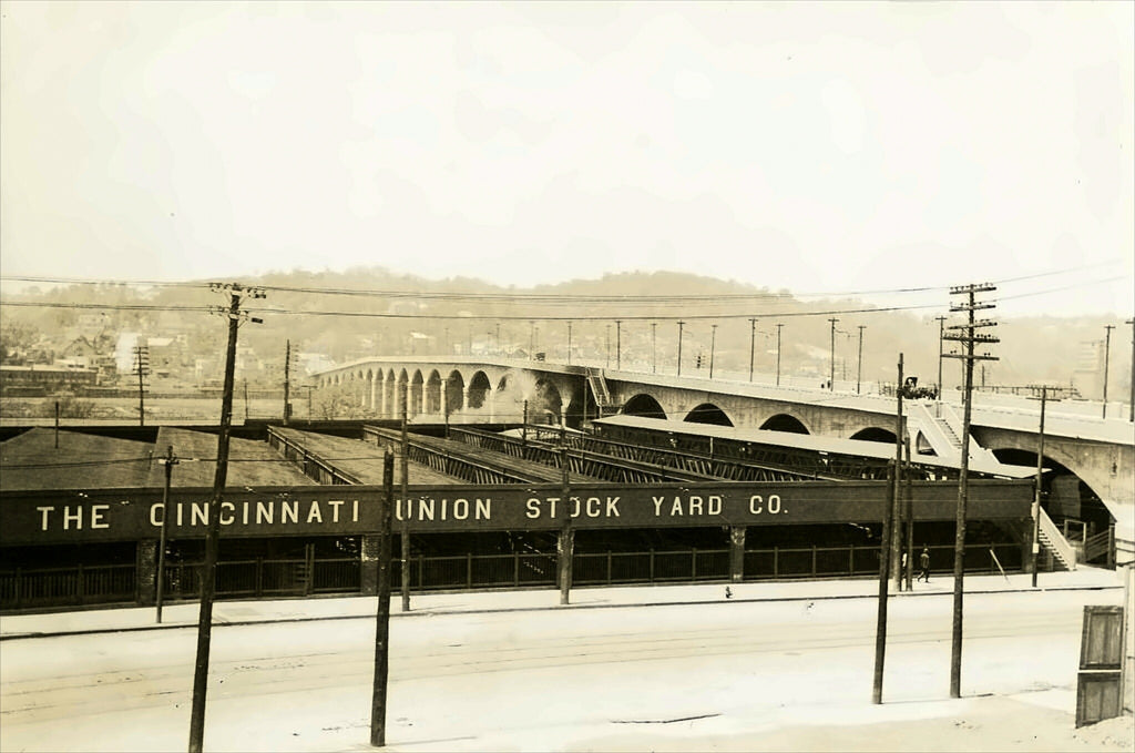 Cincinnati stockyards, circa 1910