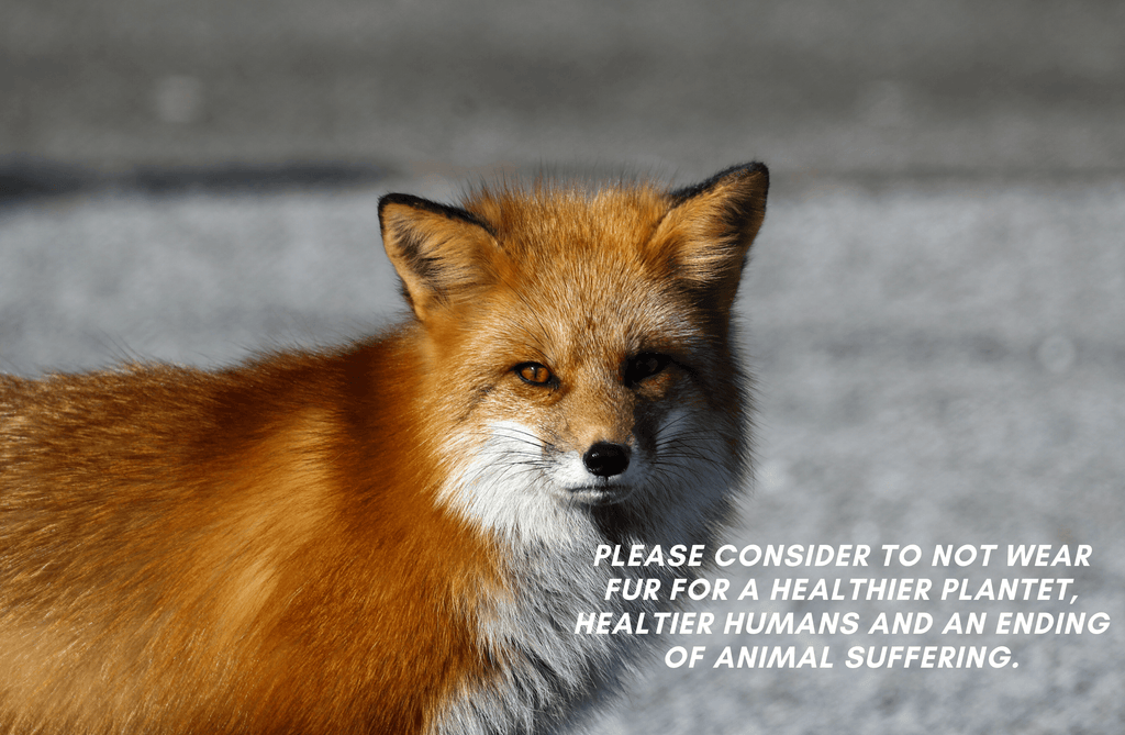 Facts about Fur